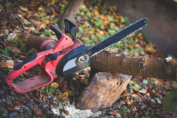 Leaf Removal in Essex Village, CT